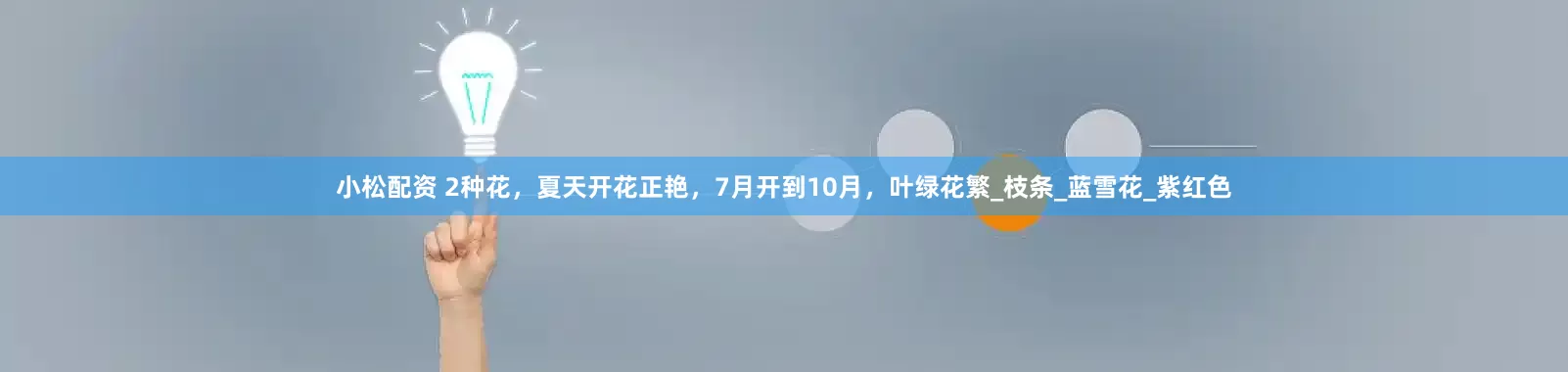 小松配资 2种花，夏天开花正艳，7月开到10月，叶绿花繁_枝条_蓝雪花_紫红色