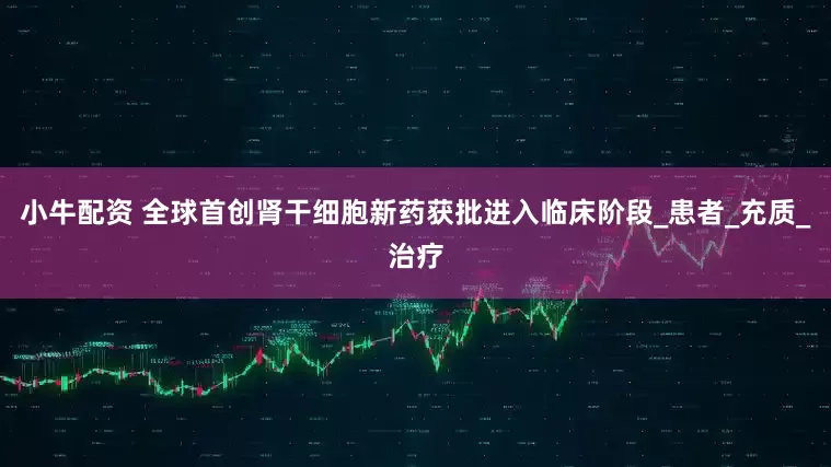 小牛配资 全球首创肾干细胞新药获批进入临床阶段_患者_充质_治疗