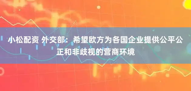 小松配资 外交部：希望欧方为各国企业提供公平公正和非歧视的营商环境