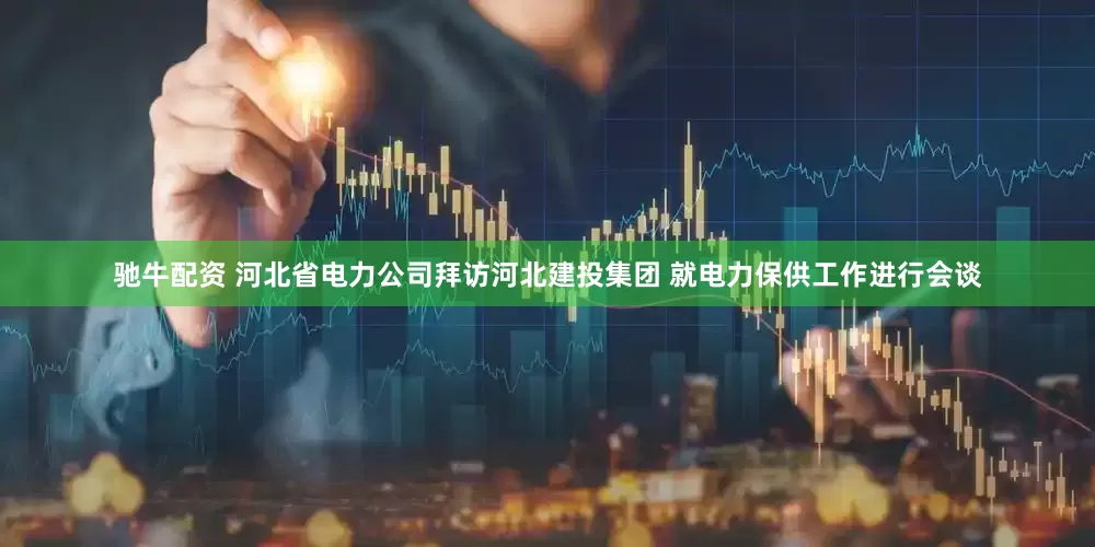 驰牛配资 河北省电力公司拜访河北建投集团 就电力保供工作进行会谈