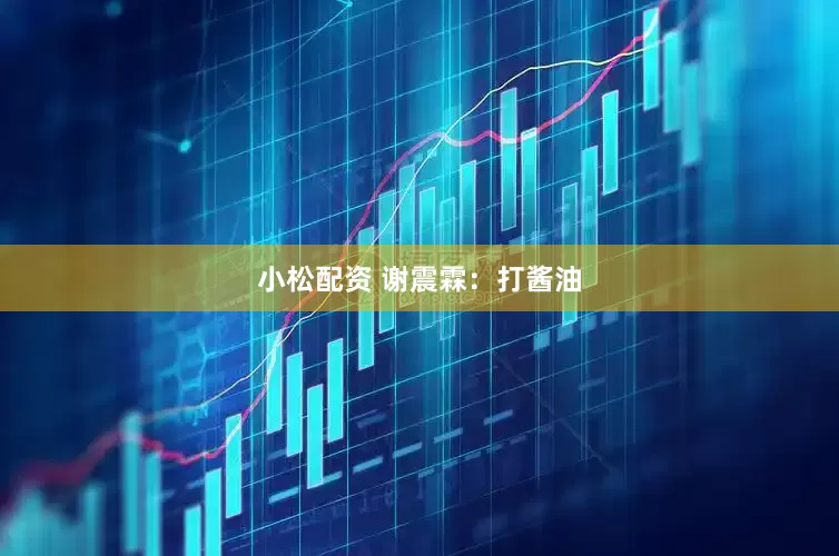 小松配资 谢震霖：打酱油