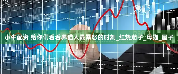 小牛配资 给你们看看养猫人最暴怒的时刻_红烧茄子_母猫_屋子