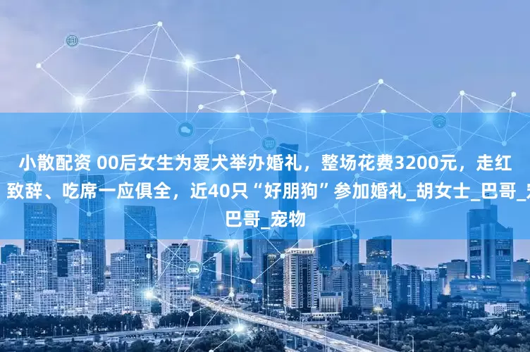 小散配资 00后女生为爱犬举办婚礼，整场花费3200元，走红毯、致辞、吃席一应俱全，近40只“好朋狗”参加婚礼_胡女士_巴哥_宠物