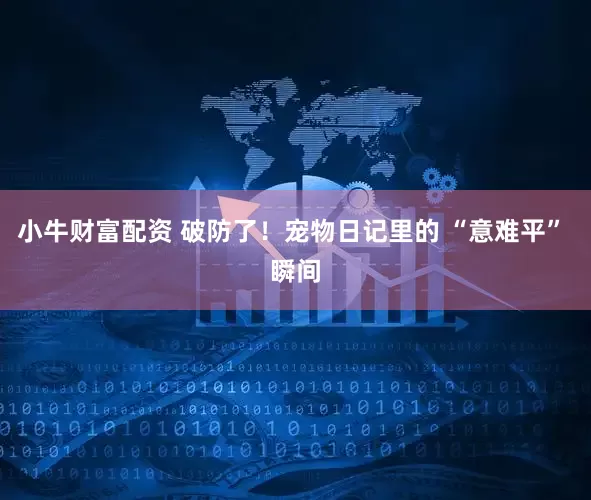 小牛财富配资 破防了！宠物日记里的 “意难平” 瞬间