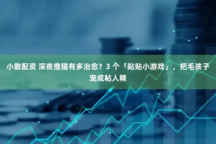小散配资 深夜撸猫有多治愈？3 个「贴贴小游戏」，把毛孩子宠成粘人精