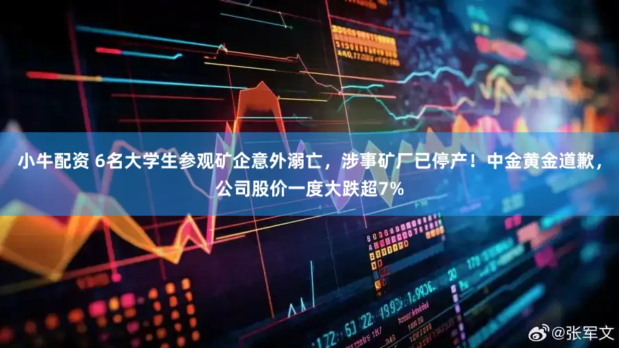 小牛配资 6名大学生参观矿企意外溺亡，涉事矿厂已停产！中金黄金道歉，公司股价一度大跌超7%