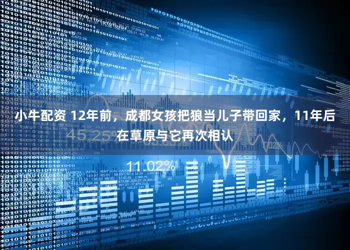小牛配资 12年前，成都女孩把狼当儿子带回家，11年后在草原与它再次相认
